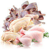 Poultry
