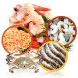 Chilled Seafood