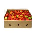 Hot Pepper Box (rodo)