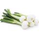 Fresh Spring Onions