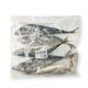 Frozen Jack Mackerel Fish 3kg