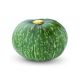Green Pumpkin/kg