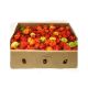 Hot Pepper Box (rodo)