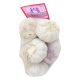 Fresh Garlic Medium Size