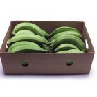 Fresh Green Plantain Box