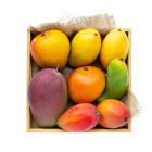 Fresh Mango Box (Pack of 6)