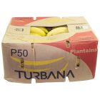 Fresh Ripe Plantain Box