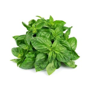 Fresh Basil Herbs 50g 