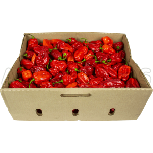 Fresh Uganda Hot Pepper Box 3.5kg