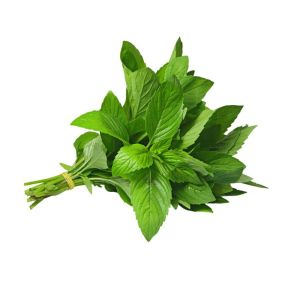 Fresh Mint Herbs 150g