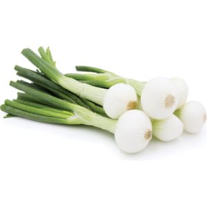 Fresh Spring Onions