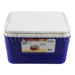 Princeware Insulated Cooler Box 14L