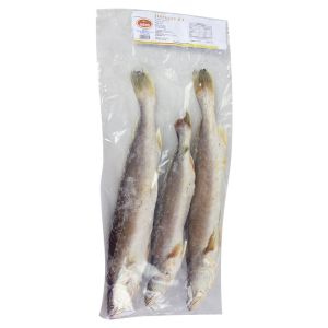 Frozen Sea Trout Kandratike Fish 2.5kg