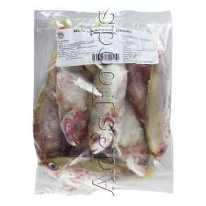 Red Snapper Denton Fish (Factory Cleaned) 3kg