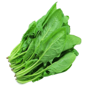 Fresh Spinach Leaf Bunch