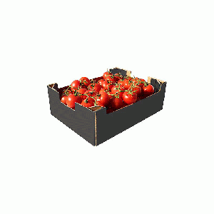 Fresh Tomatoes Box 3.5kg