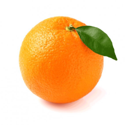 Fresh Orange